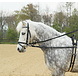 Busse Side-Reins BASIC Busse Side-Reins BASIC