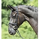 Busse Hoofdstel anatomisch Matera Black/Crystal Busse Hoofdstel anatomisch Matera Black/Crystal