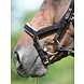 Busse Hoofdstel Modena Hazel/Crystal Full Busse Hoofdstel Modena Hazel/Crystal Full