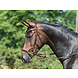 Busse Hoofdstel Modena Hazel/Crystal Full Busse Hoofdstel Modena Hazel/Crystal Full