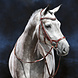 Busse Hoofdstel Modena Hazel/Crystal Full Busse Hoofdstel Modena Hazel/Crystal Full