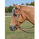 Busse Hoofdstel Dakota Chestnut Cob Busse Hoofdstel Dakota Chestnut Cob