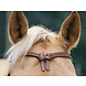 Busse Hoofdstel Caney Chestnut Full Busse Hoofdstel Caney Chestnut Full