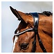 Anky ANKY® Bridle ATH20005 Anky ANKY® Bridle ATH20005