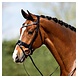 Anky ANKY® Bridle ATH20005 Anky ANKY® Bridle ATH20005
