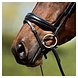 Anky ANKY® Bridle ATH20004 Anky ANKY® Bridle ATH20004