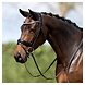 Anky ANKY® Bridle ATH20004 Anky ANKY® Bridle ATH20004