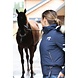 Penelope Blouson Step winterjas Navy Penelope Blouson Step winterjas Navy