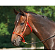 Busse Halster weide rood Busse Halster weide rood