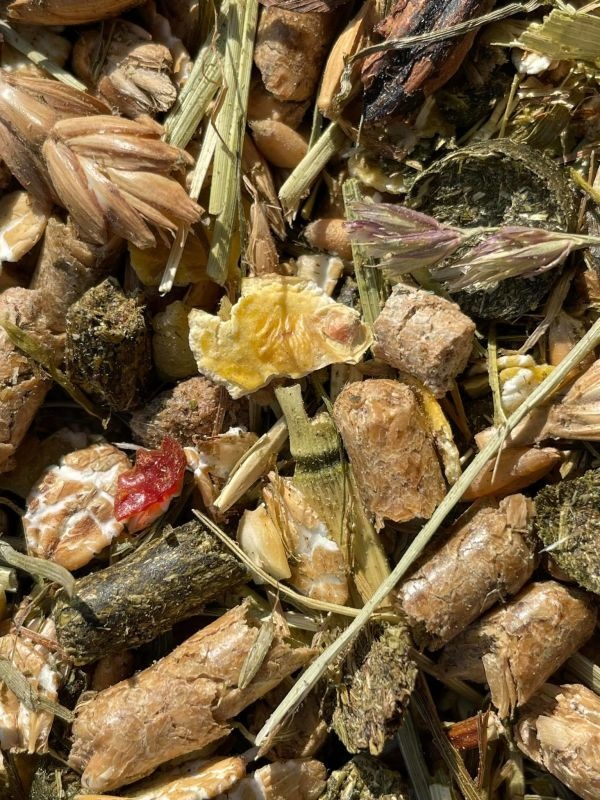 EquiFyt natuurlijke voeding zorgt voor fitte, gezonde paarden - Ervaar het verschil!  EquiFyt natuurlijke voeding zorgt voor fitte, gezonde paarden - Ervaar het verschil!