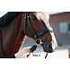 BR Ipos teugelsensor BR Ipos teugelsensor