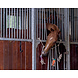QHP Paardenspeelgoed Boxhanger Paard Unicorn Wortel QHP Paardenspeelgoed Boxhanger Paard Unicorn Wortel