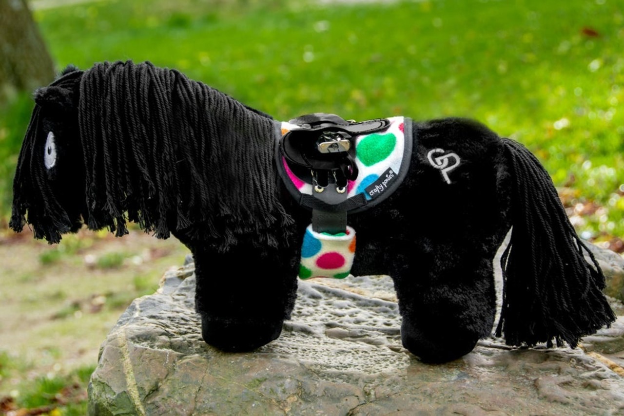 Crafty Ponies Crafty Ponies Zadeldekje en singelhoes set incl. instructie boekje