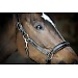 Penelope Lederen halster Point Sellier Zwart Penelope Lederen halster Point Sellier Zwart