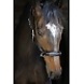Penelope Lederen halster Point Sellier Zwart Penelope Lederen halster Point Sellier Zwart