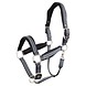 BR BR Halter Arizona BR BR Halter Arizona