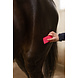 Excellent Excellent Horse Grooming Borstel Medium Excellent Excellent Horse Grooming Borstel Medium