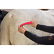 Excellent Excellent Horse Grooming Borstel Medium Excellent Excellent Horse Grooming Borstel Medium