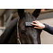 Excellent Excellent Horse Grooming Borstel Medium Excellent Excellent Horse Grooming Borstel Medium