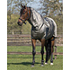QHP Sweet Itch Rug Comfort 205 QHP Sweet Itch Rug Comfort 205