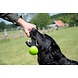 Excellent Dog Comets Meteor Werpstok Groen L Excellent Dog Comets Meteor Werpstok Groen L