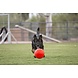 Jolly Ball Jolly Soccer Ball 15cm Jolly Ball Jolly Soccer Ball 15cm