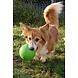 Jolly Ball Jolly Soccer Ball 15cm Jolly Ball Jolly Soccer Ball 15cm