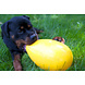 Jolly Ball Jolly Egg 30cm Geel Jolly Ball Jolly Egg 30cm Geel