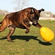 Jolly Ball Jolly Egg 30cm Geel Jolly Ball Jolly Egg 30cm Geel