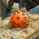 Excellent Hooi slowfeeder fun and flex 22cm Excellent Hooi slowfeeder fun and flex 22cm