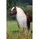 Hi Gloss navulverpakking 2500ml Hi Gloss navulverpakking 2500ml