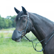 Busse Neusnetje Fly Professional Anatomic zwart Busse Neusnetje Fly Professional Anatomic zwart
