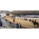 Parelli Pat Parelli Masterclass Belgium 2022 rider Parelli Pat Parelli Masterclass Belgium 2022 rider