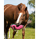 QHP Paardenspeelgoed Unicorn QHP Paardenspeelgoed Unicorn