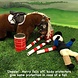 Crafty Ponies Crafty Ponies Bodyprotector met instuctieboekje Crafty Ponies Crafty Ponies Bodyprotector met instuctieboekje
