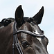 Passier Browband Waved Swarovski Black Full Passier Browband Waved Swarovski Black Full