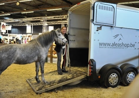 Veilig trailerladen dankzij Parelli Natural Horsemanship