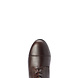 Ariat Heritage Contour II H2O Insulated Tall Riding Boot Waxed Chocolate Ariat Heritage Contour II H2O Insulated Tall Riding Boot Waxed Chocolate
