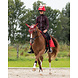 QHP Helmovertrek Kerst Rudolph QHP Helmovertrek Kerst Rudolph