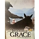 Parelli Amazing Grace with Pat Parelli DVD Parelli Amazing Grace with Pat Parelli DVD