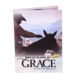Parelli Amazing Grace with Pat Parelli DVD Parelli Amazing Grace with Pat Parelli DVD