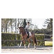 Anky Anky Pad Saddle pad DR Weathered Teak Full Anky Anky Pad Saddle pad DR Weathered Teak Full