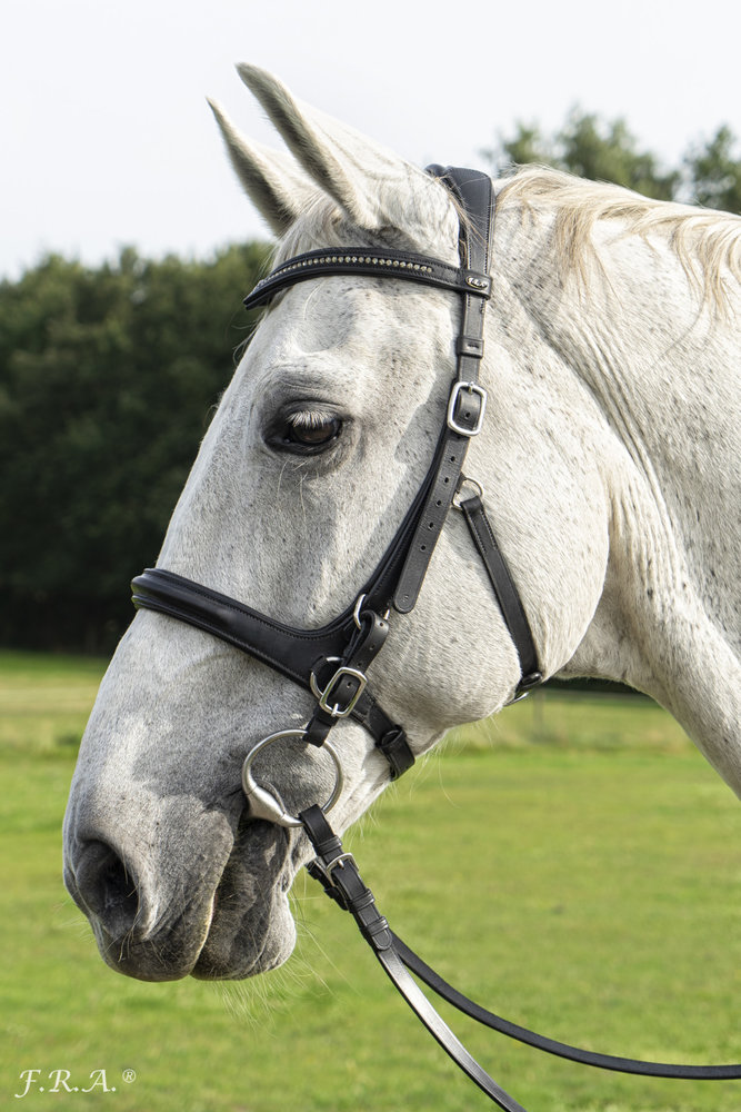F.R.A. Runa Combinatie hoofdstel Bit - Sidepull met teugels