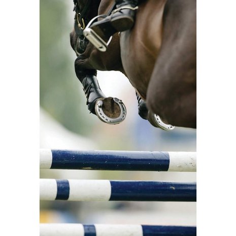 Bates Saddle Bates Elevation Deep Seat Havana Brown Bates Saddle Bates Elevation Deep Seat Havana Brown