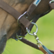 Busse Halster Riding Full Navy Busse Halster Riding Full Navy