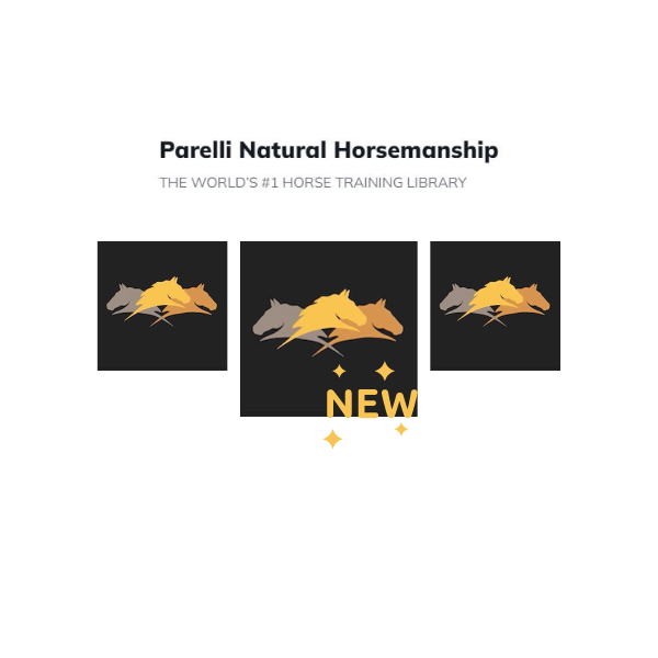 Parelli Natural Horsemanship info 2023 Parelli Natural Horsemanship info 2023