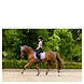 BR Fetlock Boots 4-EH Calvin Dusk Cob BR Fetlock Boots 4-EH Calvin Dusk Cob