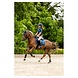 BR Peesbeschermers 4-EH Calvin Navy Sky Cob BR Peesbeschermers 4-EH Calvin Navy Sky Cob