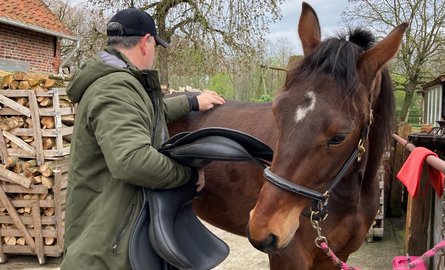 Voor elk paard een passend zadel