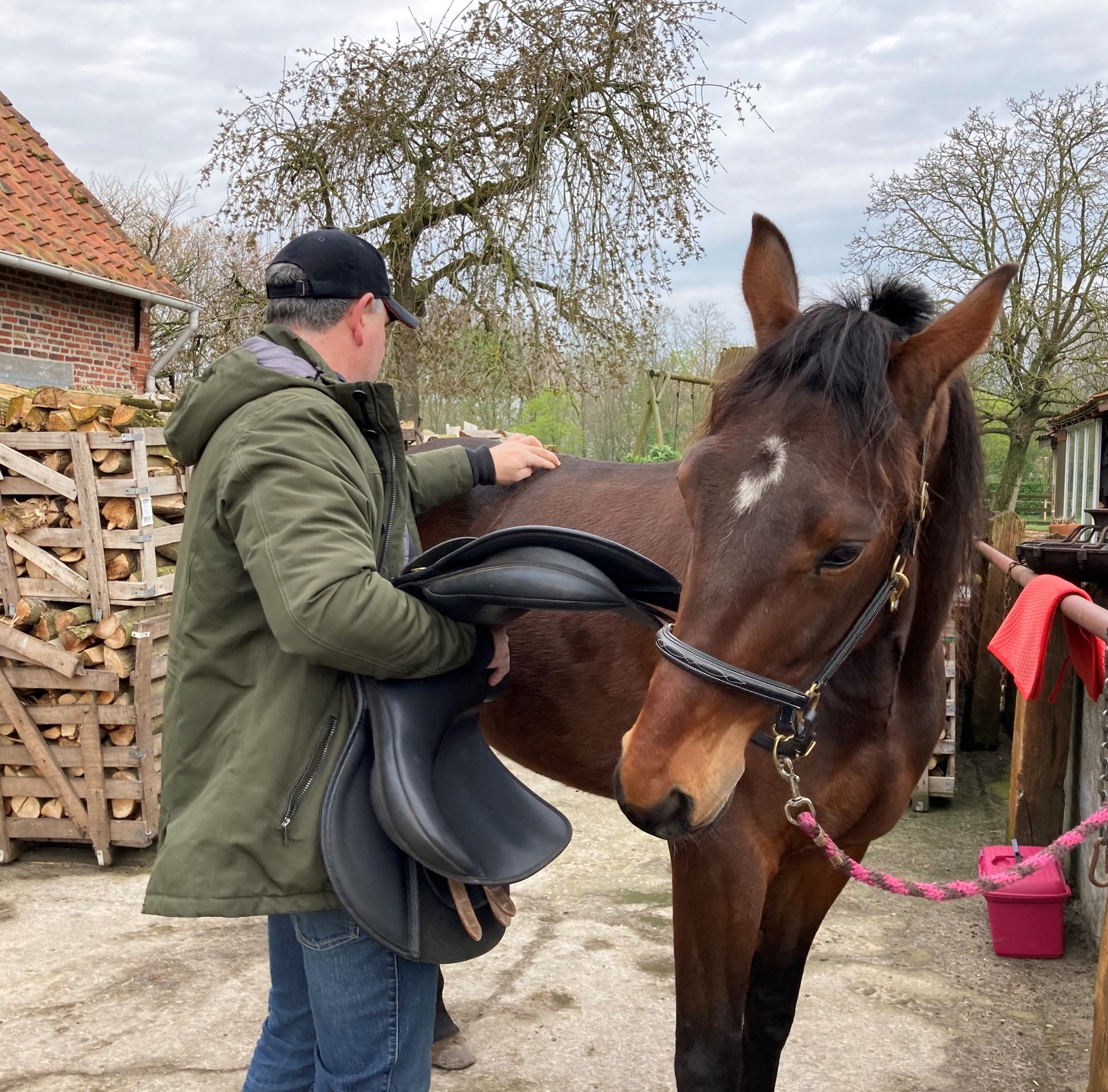 Voor elk paard een passend zadel